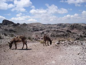 Hiking in Sucre