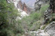 Nature on hike from Sucre