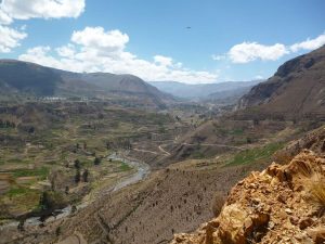 Inca terraces in Colca Valley
