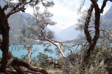 Laguna Llanganuco Huaraz Peru