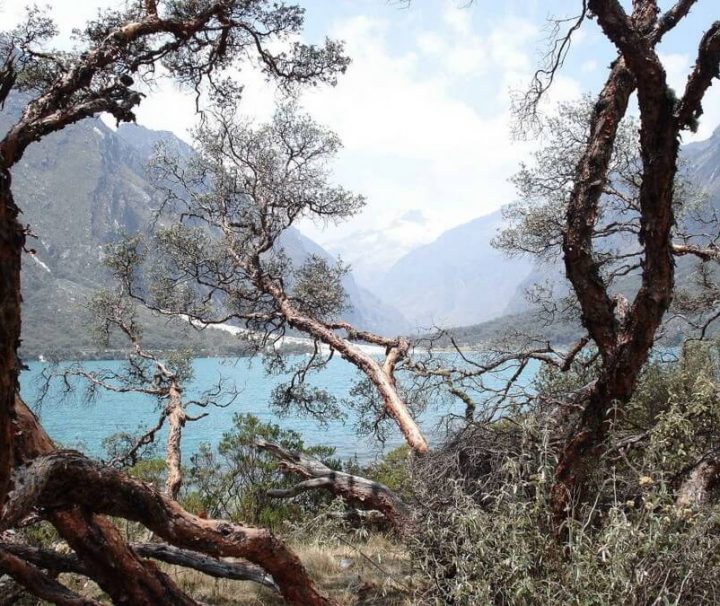 Laguna Llanganuco Huaraz Peru