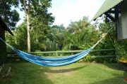 Hammock in garden of Lodge