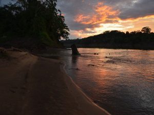 Sunset Tambopata Amazon