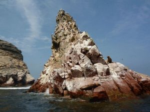 Islas Ballestas tour Peru