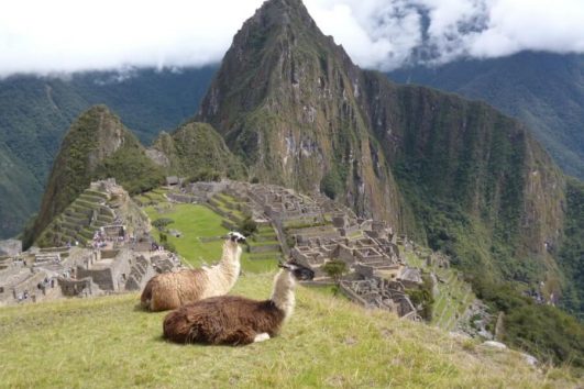 Peru Tours