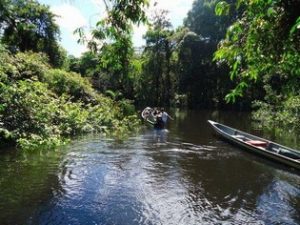 Paddeling in Cuyabeno Amazon Reserve