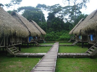 Nick Lodge Amazon Tours Ecuador