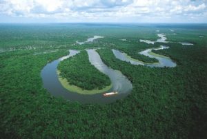 Iquitos, Amazon Rainforest