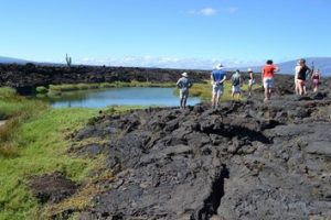 Volcanic ground on the Galapagos Islands