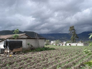 Otavalo Ecuador natuur vrijwilligersreis