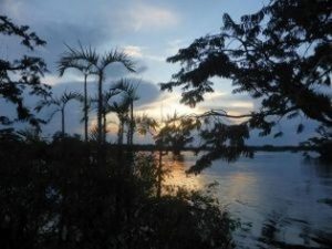 Sunset in the Amazon of Cuyabeno