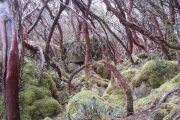 Hiking in Parque Cajas, Cuenca