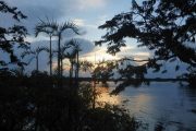 Sunset in Cuyabeno Amazon Reserve