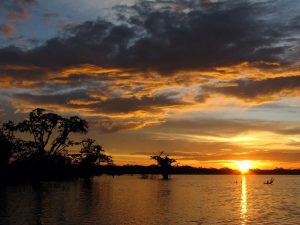 Sunset Laguna Grande Cuyabeno Amazon