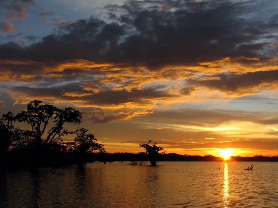 Cuyabeno Amazone Romantische reis Ecuador