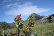 Hiking in Cajas National Park