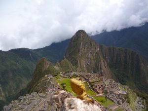 Inca Junge Trail Machu Picchu