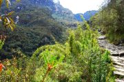 Hiking the Inca Trail