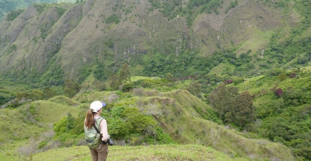 Solo traveler hiking