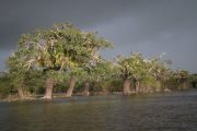 Laguna Grande Cuyabeno tour