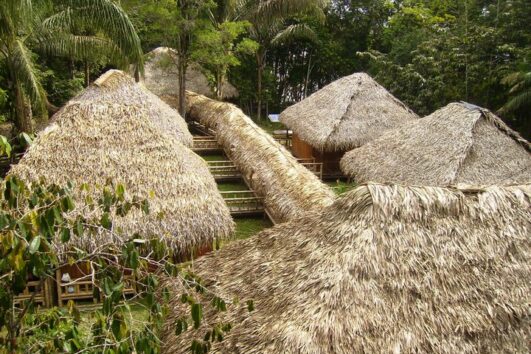 Siona Cuyabeno Amazone Lodge
