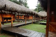 Cuyabeno Siona Amazone Lodge