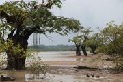 Paddling tour Cuyabeno Amazon