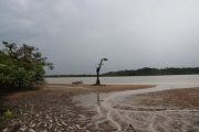 Cuyabenoa Amazon Canoe tour