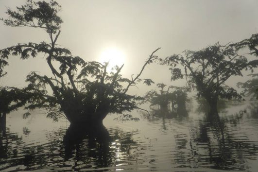 Paddling Cuyabeno Amazon tour