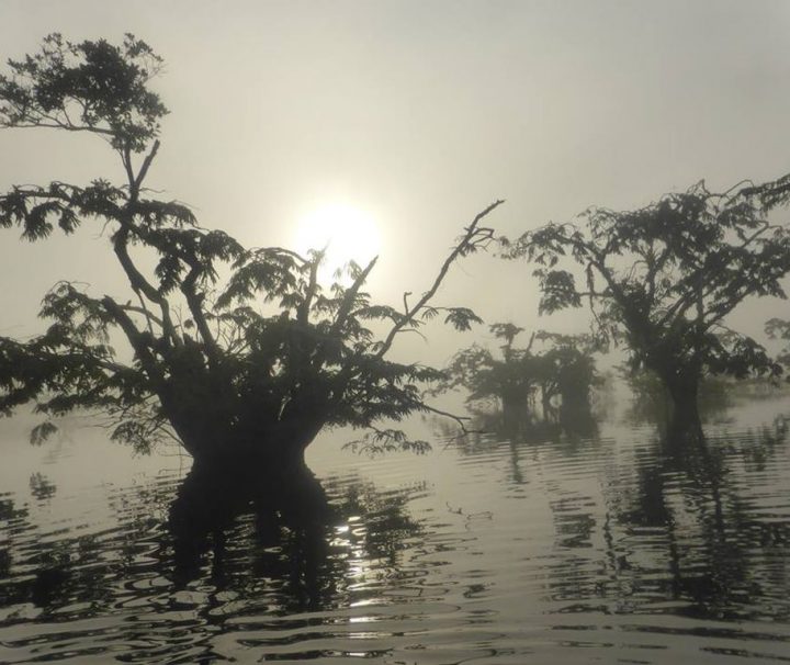 Paddling Cuyabeno Amazon tour