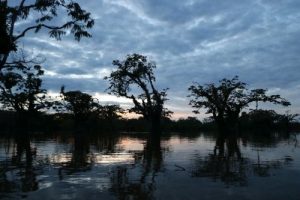 Sunset Cuyabeno Amazon Paddling