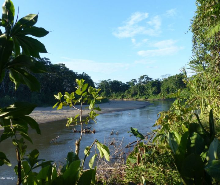 Amazon kayak and canoe tour