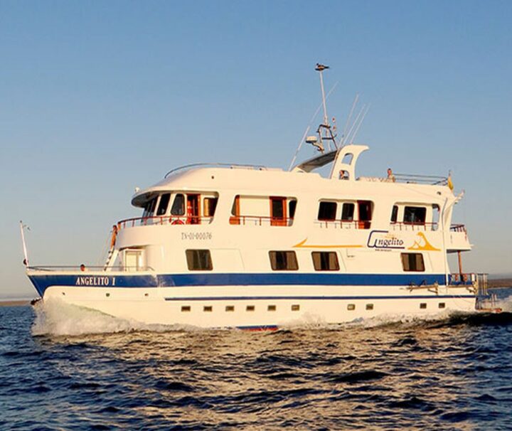 Angelito Galapagos cruises