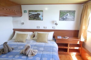cabin Angelito Galapagos cruise