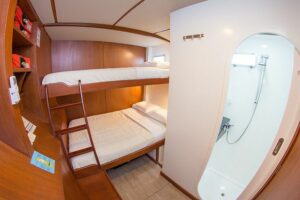 Cabin 5 Nemo II Galapagos cruises
