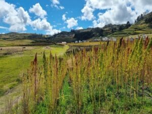 Ancestor hiking trail Ecuador