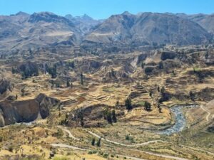 Terrasses in the Colca Valley