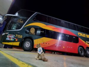 Safety of Cruz del Sur bus in Peru
