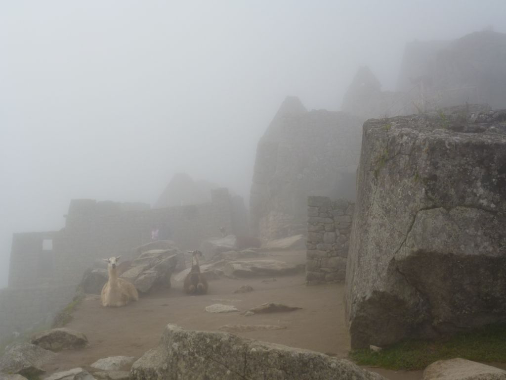 weather in Peru mist on Machu Picchu